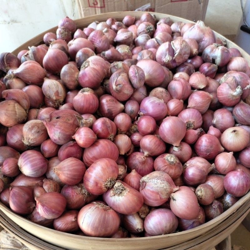 

Bawang Merah