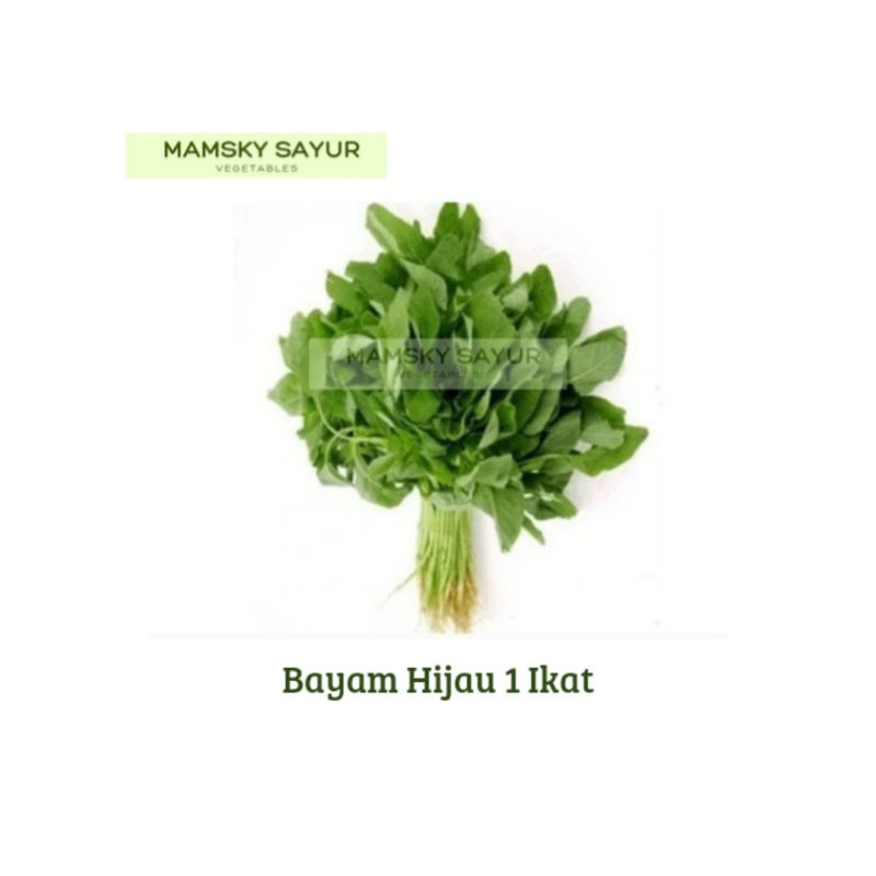 

Bayam 1 Ikat