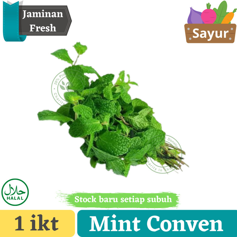 

Daun Mint Fresh Organik |Pangan Export Indonesia