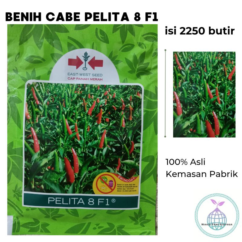 Benih Cabe Pelita 8 F1 2250 butir Cap Panah Merah