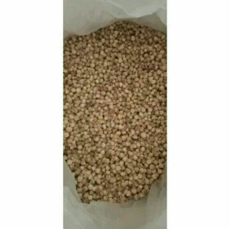 

merica I Lada Putih 100gram