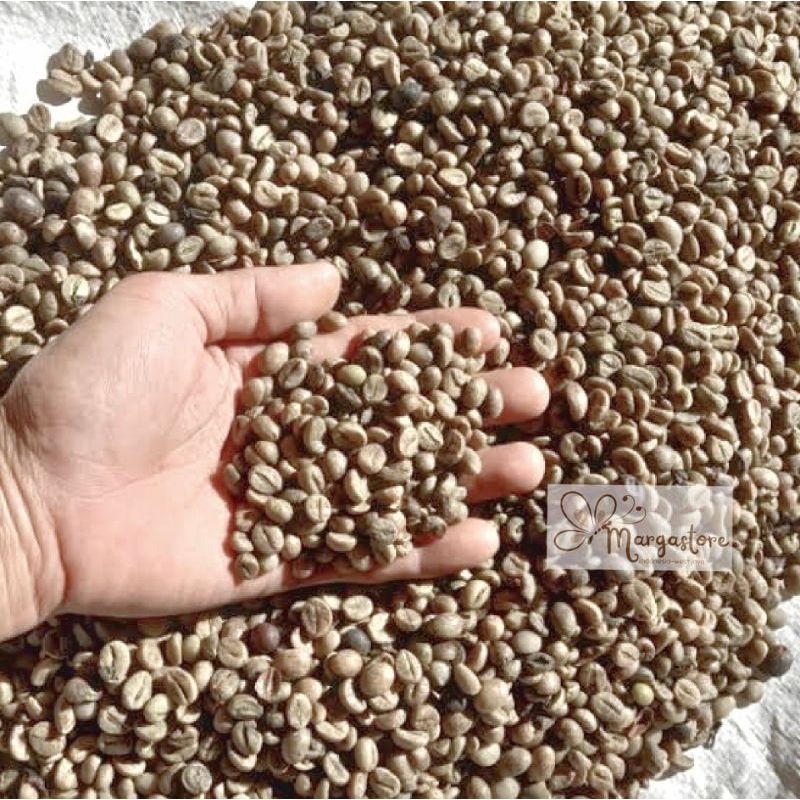 

Biji Kopi Robusta 1kg Geen Bean Grade 2