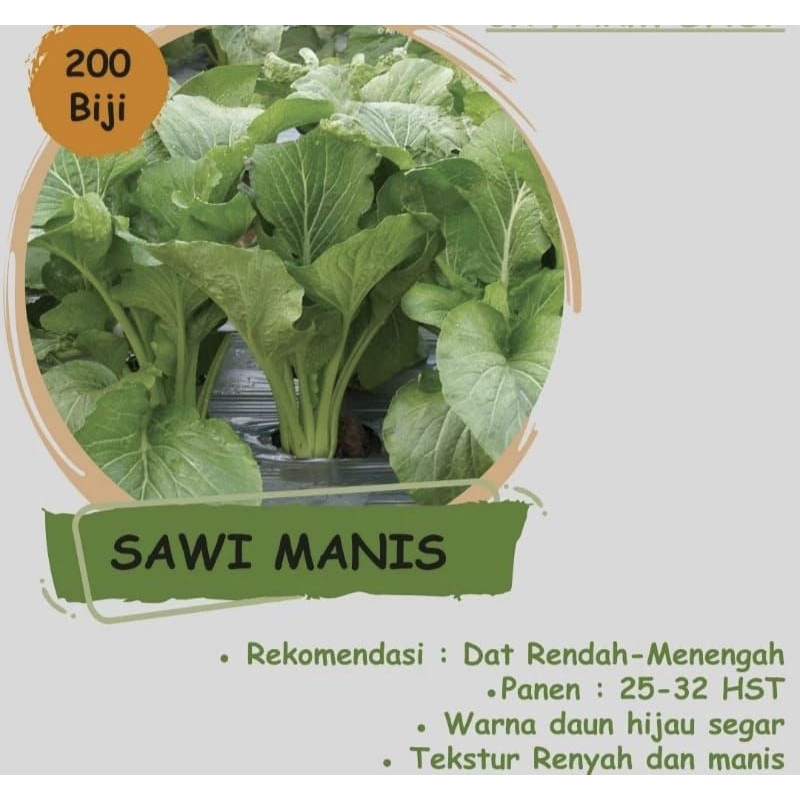 

200 Benih-Biji Sawi Manis Sayuran Sawi Benih-Biji Sawi