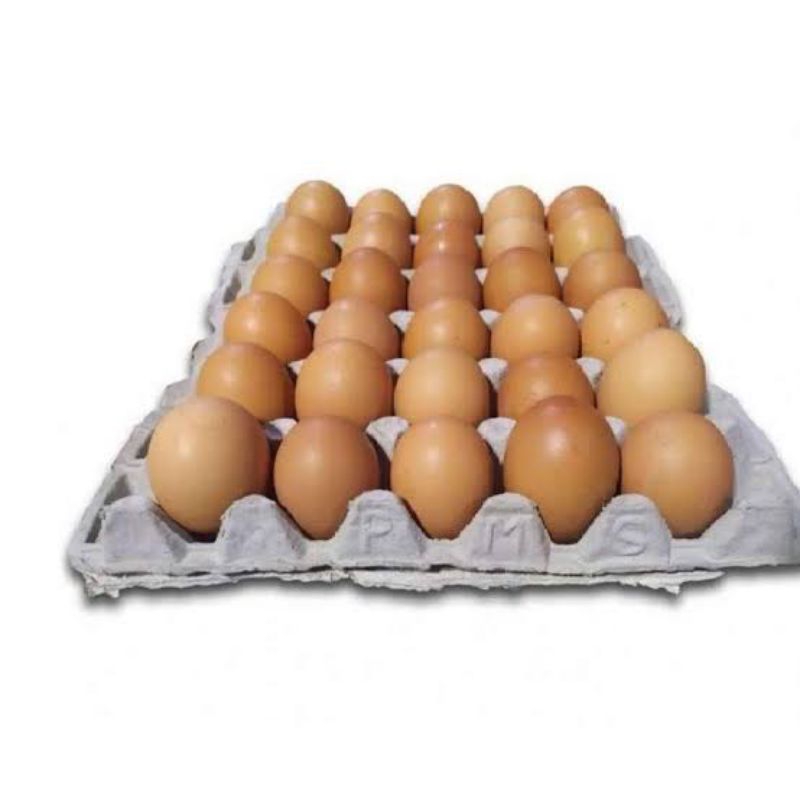 

TELUR AYAM NEGERI 1 TRAY 30 BUTIR