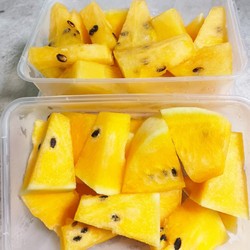 

semangka kuning
