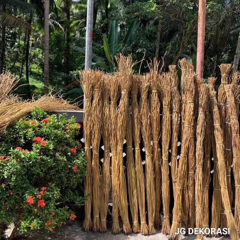 Akar Manon Kering Akar Rustic Akar Manon Dekorasi isi 100 Batang