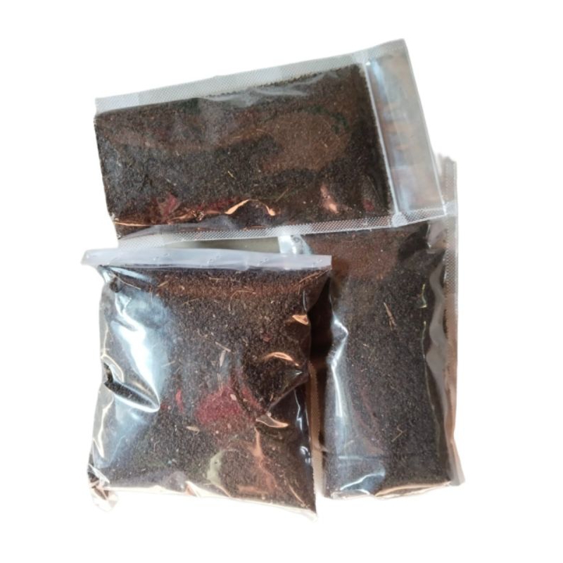 SPORA AZOLLA MICROPHYLLA KERING - AZOLLA KERING