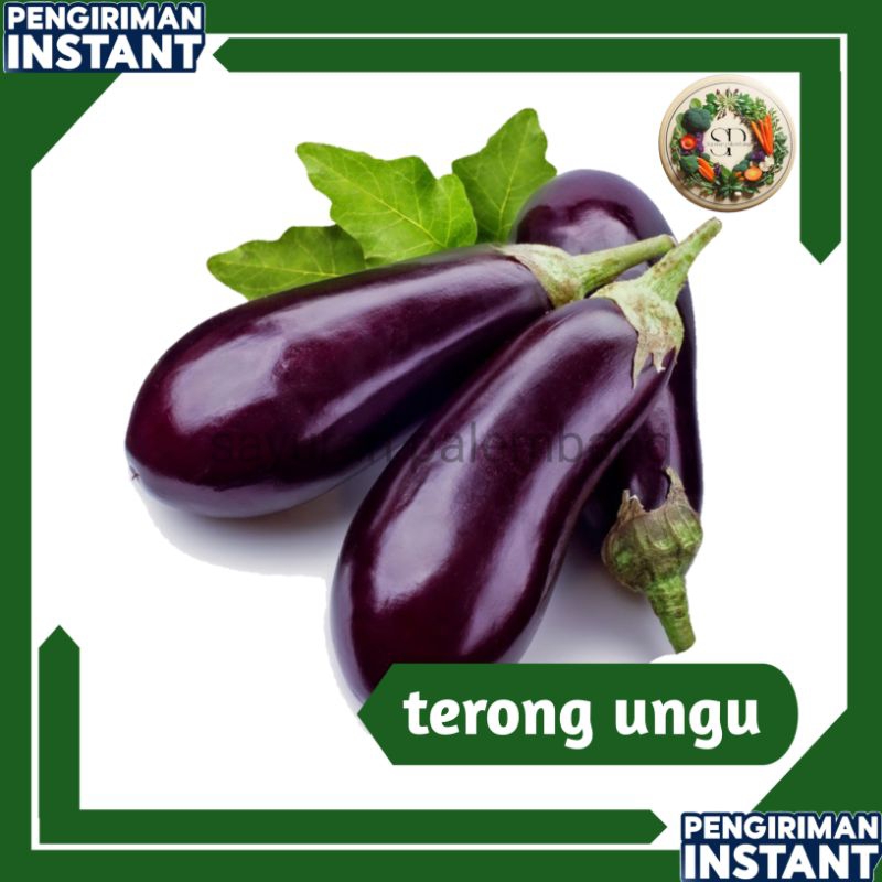 

terong ungu - sayuran palembang