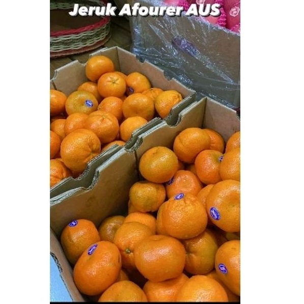 

Jeruk Afourer AUS 2PH