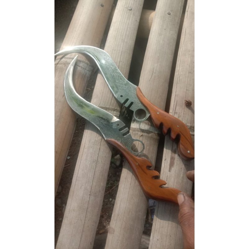 Kudi Merpati Putih