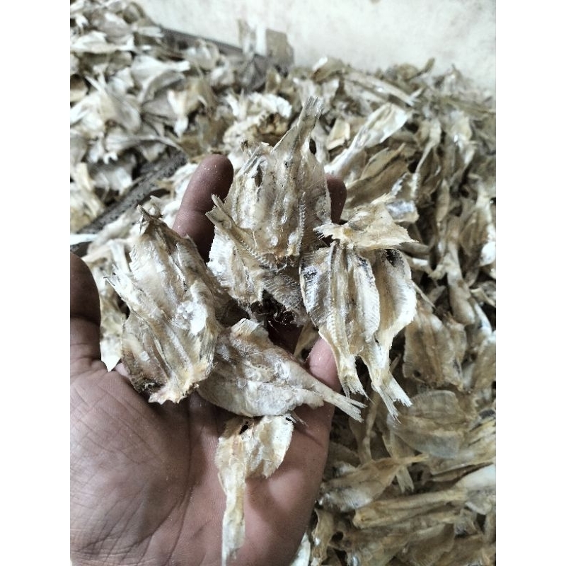 

ikan kalapan tawar 250 gram