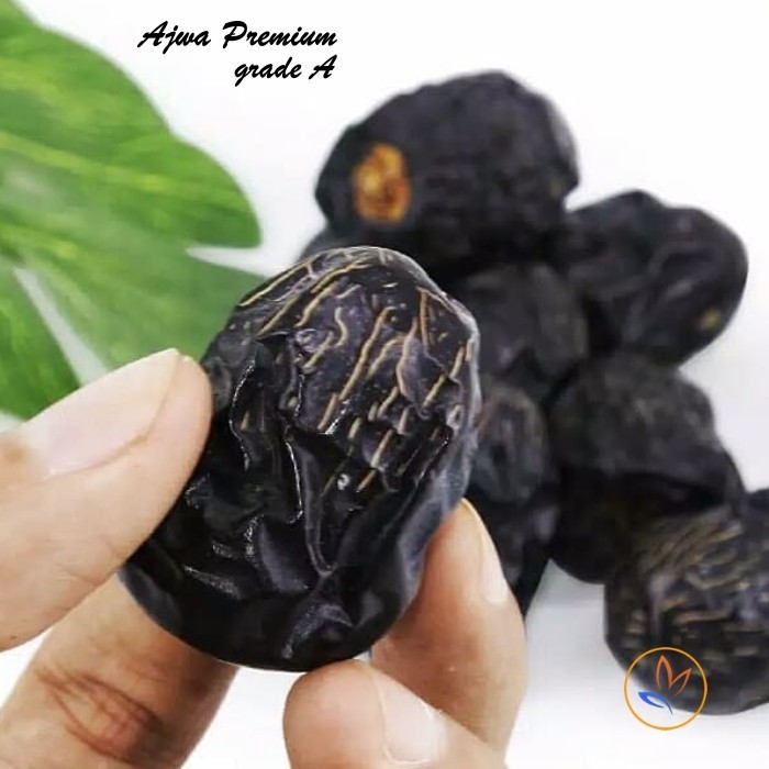

Kurma ajwa king dates madinah premium grade A fresh 5 kilo original
