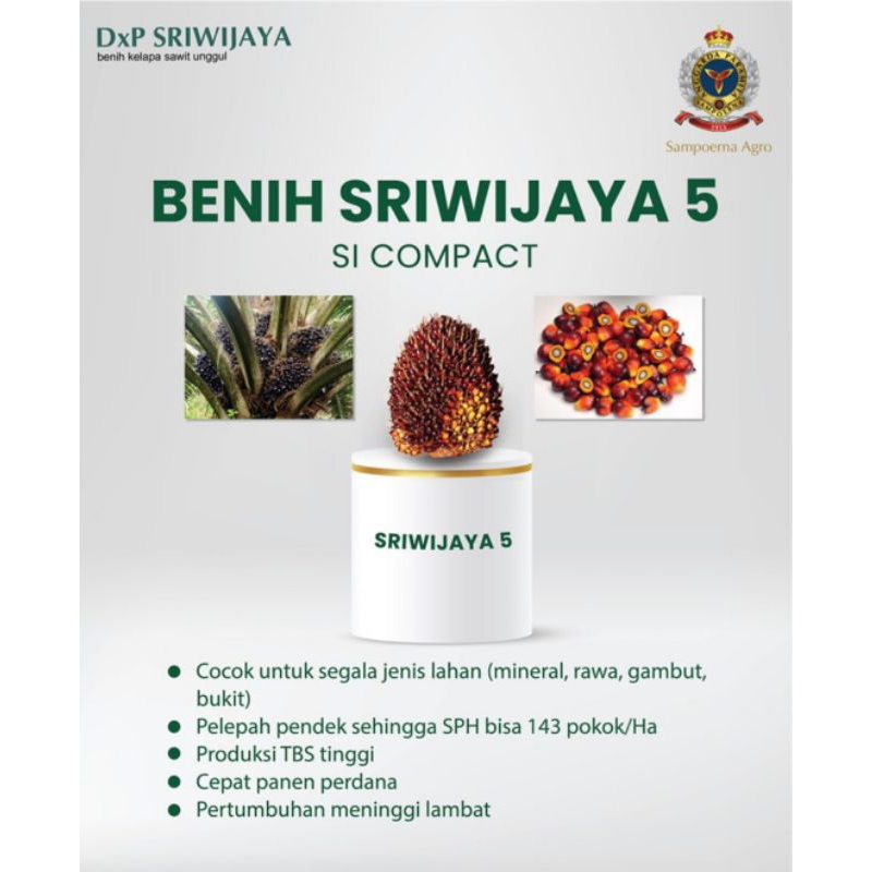 Benih Bibit sawit DXP SRIWIJAYA 5 asli SERTIFIKAT