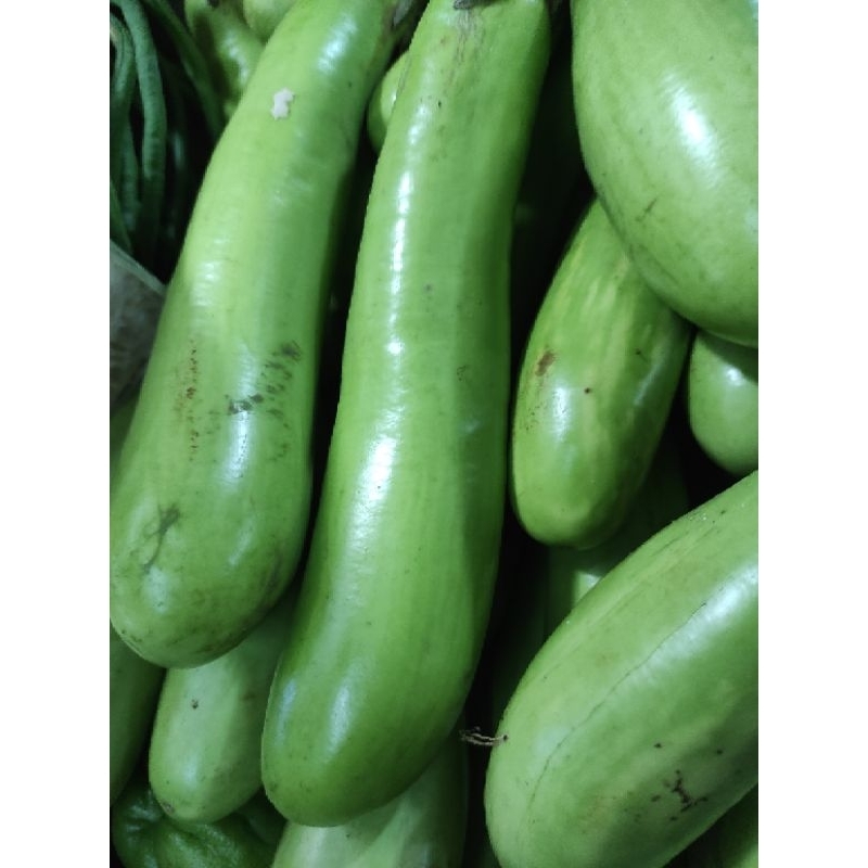 

TERONG HIJAU 500G / GREEN EGGPLANT / JAMIN SEGAR