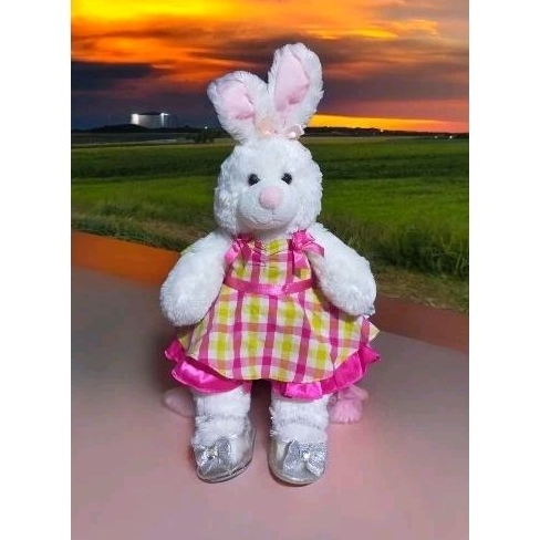 Tedy bear Build a bear 5kg