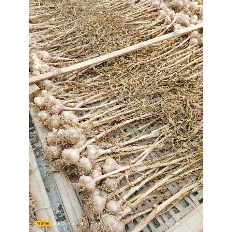 

bawang putih jawa/lokal kering per 1 kg