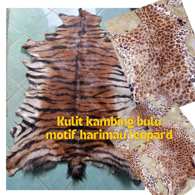 Kulit kambing bulu motif macan leopard cheetah harimau kulit kambing samak