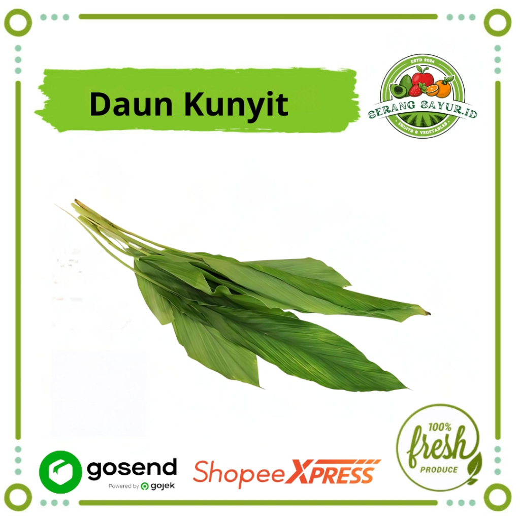 

[INSTAN SERANG] DAUN KUNYIT