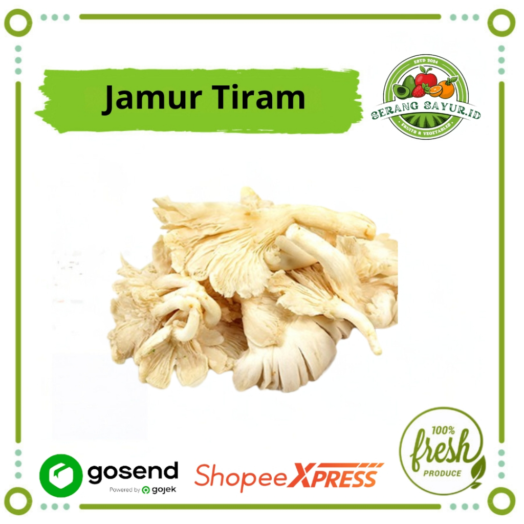 

[INSTAN SERANG] JAMUR TIRAM 250 GR