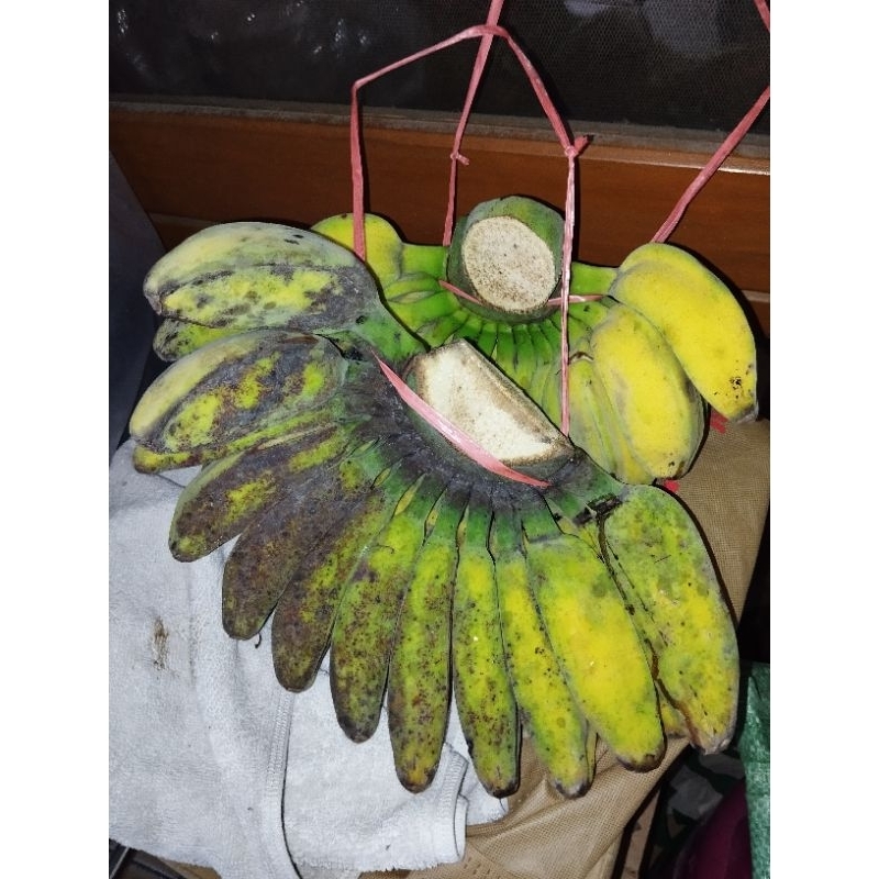 

pisang