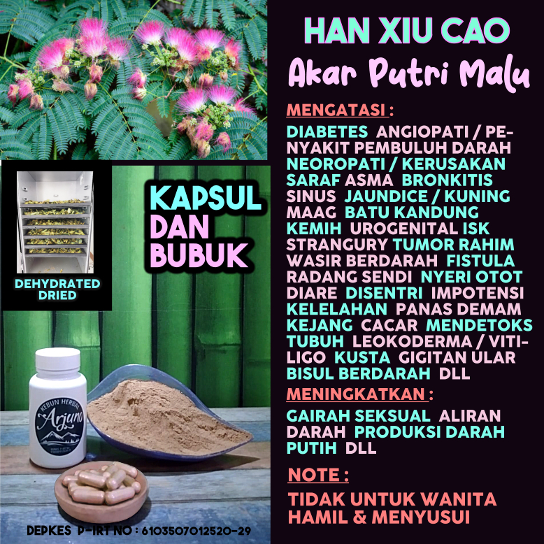 

Dehydrated Dried Kapsul Bubuk Akar Putri Malu Han Xiu Cao Obat Angiopati Pembuluh Darah Neuropati Kerusakan Saraf Asma Sinus Tumor Rahim Impotensi Kejang Vitiligo Kusta Diabetes Fistula DLL Herbal Alami