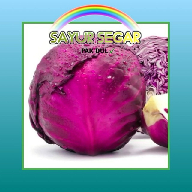 

Kol Ungu +- 500gr & +-1000gr