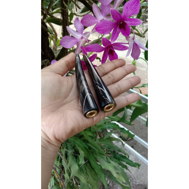 once/pipa tanduk kerbau