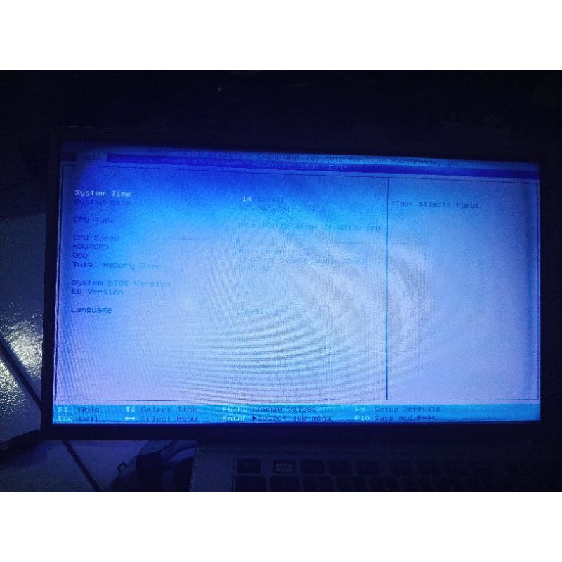 lcd 14inc 40pin low budget