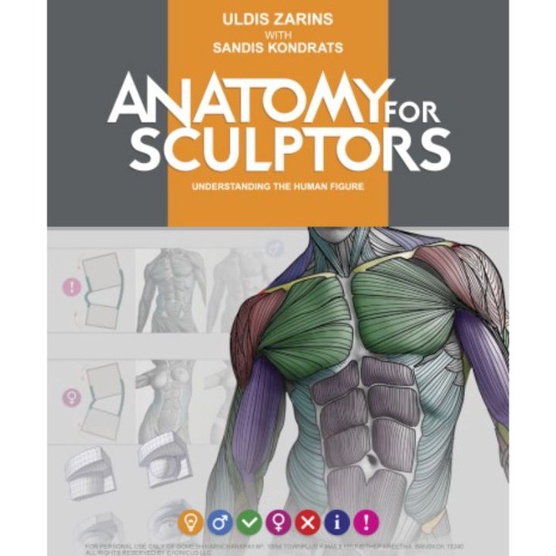 Wah buku baru Anatomy for sculptors understanding the human figure