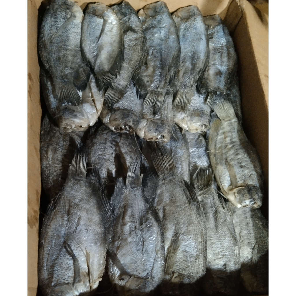 

250 Gram Ikan Asin Sepat/ Ikan Asin Murah/ Ikan Asin Enak/ Ikan Asin Palembang/ Ikan Asin Air Tawar