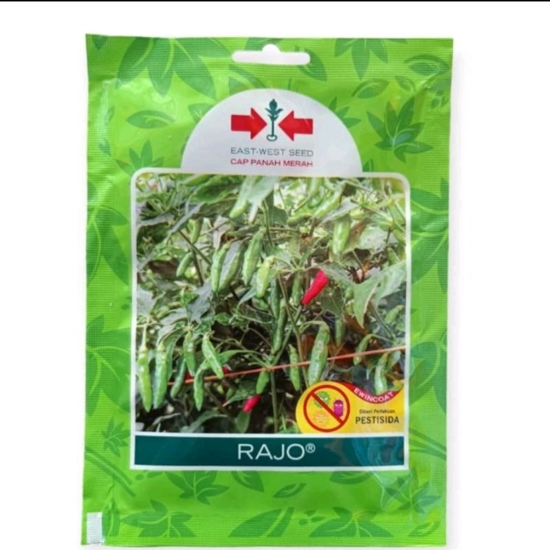 Benih /bibit unggul Cabe rawit hijau RAJO isi 350 biji
