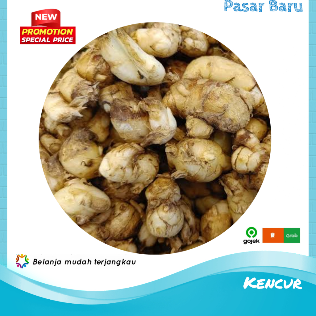 

Kencur Mentah • 250gram Murah | Pasar Baru Makassar