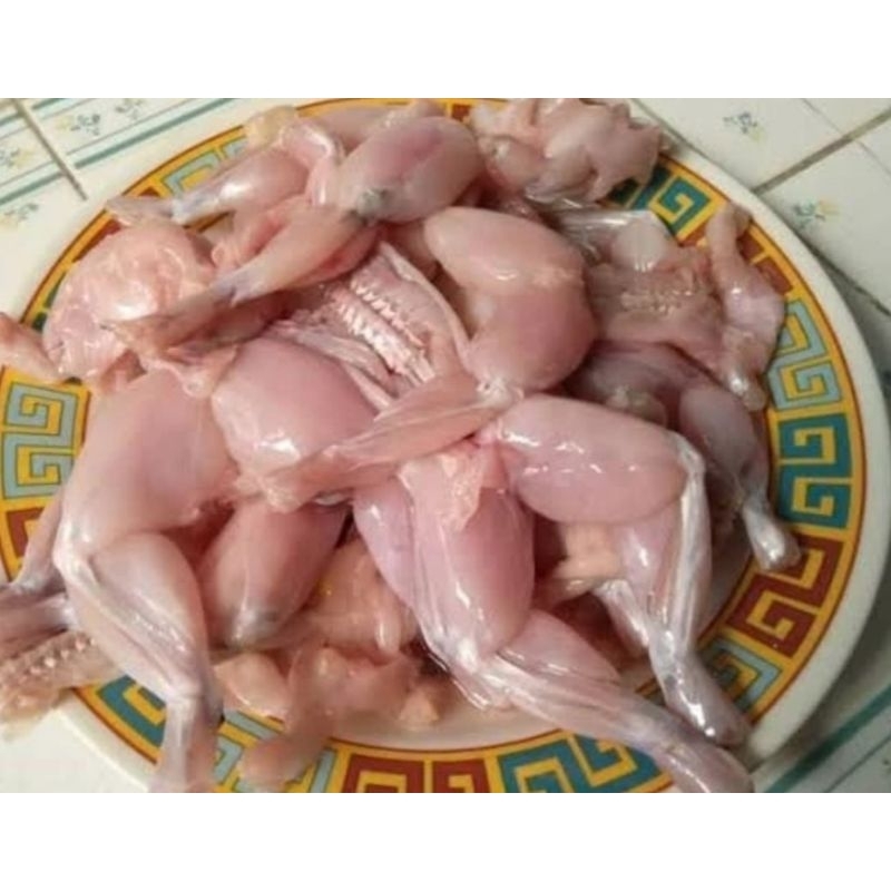 

kodok besar / daging kodok swike mentah 1kg isi 7 - 14