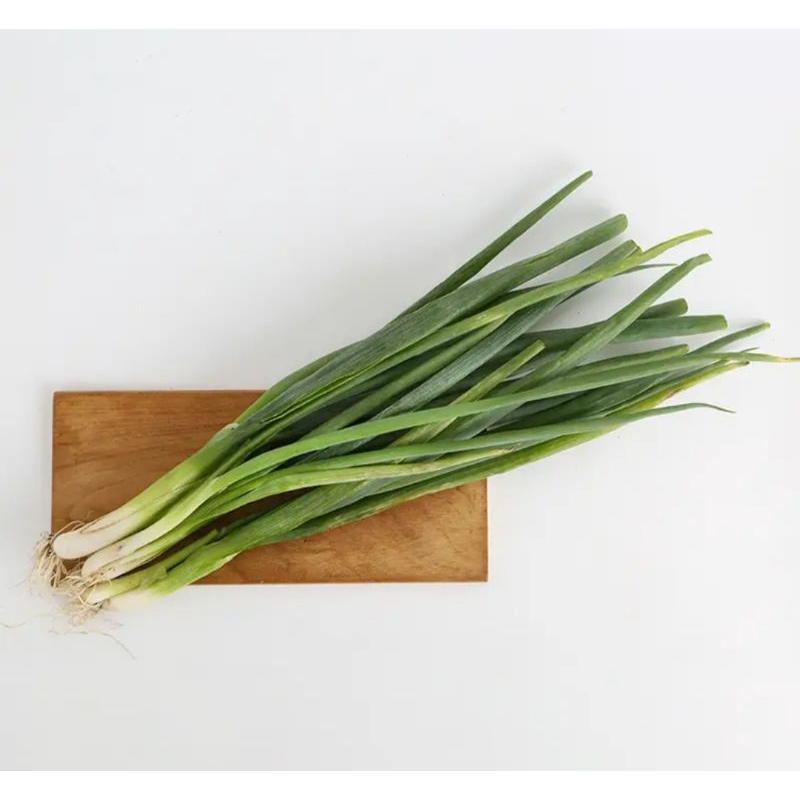 

daun bawang fresh pack