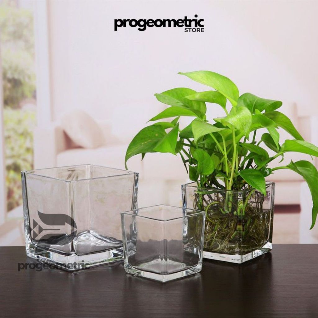 Vas Kaca Kotak 10x10 cm | Vas Bunga kaca Bening | Vas Kaca Estetik | Vas Kaca Murah | Vas Kaca Bunga