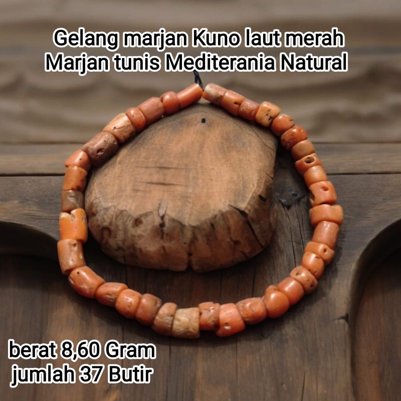 Gelang Batu Marjan asli natural laut merah