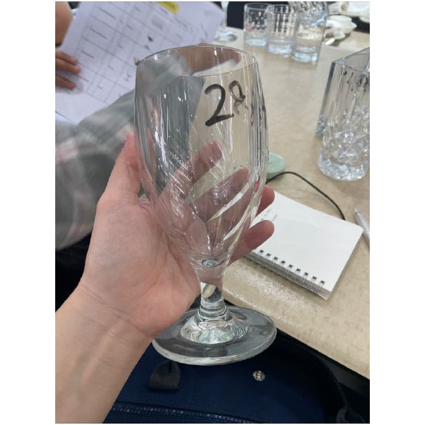 Water Goblet Universal Wine Glass Polycarbonate Acrylic Gelas Akrilik Tebal Gelas Wine Anti Pecah Pa