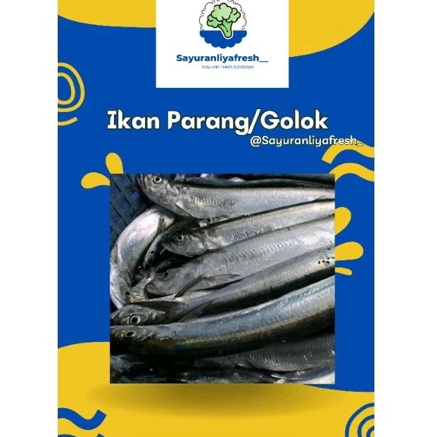 

ikan parang [±1kg]