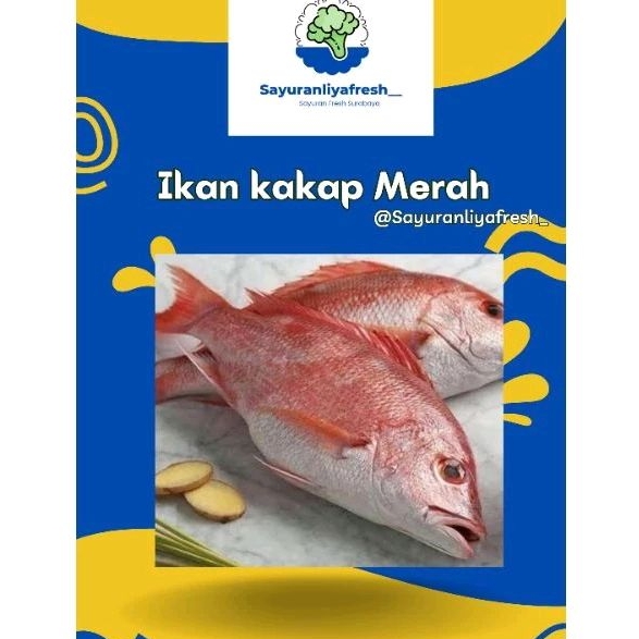 

ikan kakap merah [±1kg]