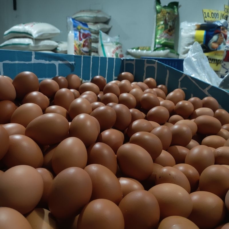 

Telur ayam negeri grade A 1Kg/ Telur ayam negeri grade A Bandung dan Cimahi/ Telur ayam negeri murah 1Kg