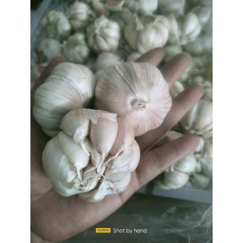 

bawang putih 250 gr