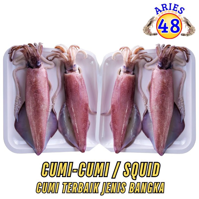 

Cumi Cumi Bangka 1Kg