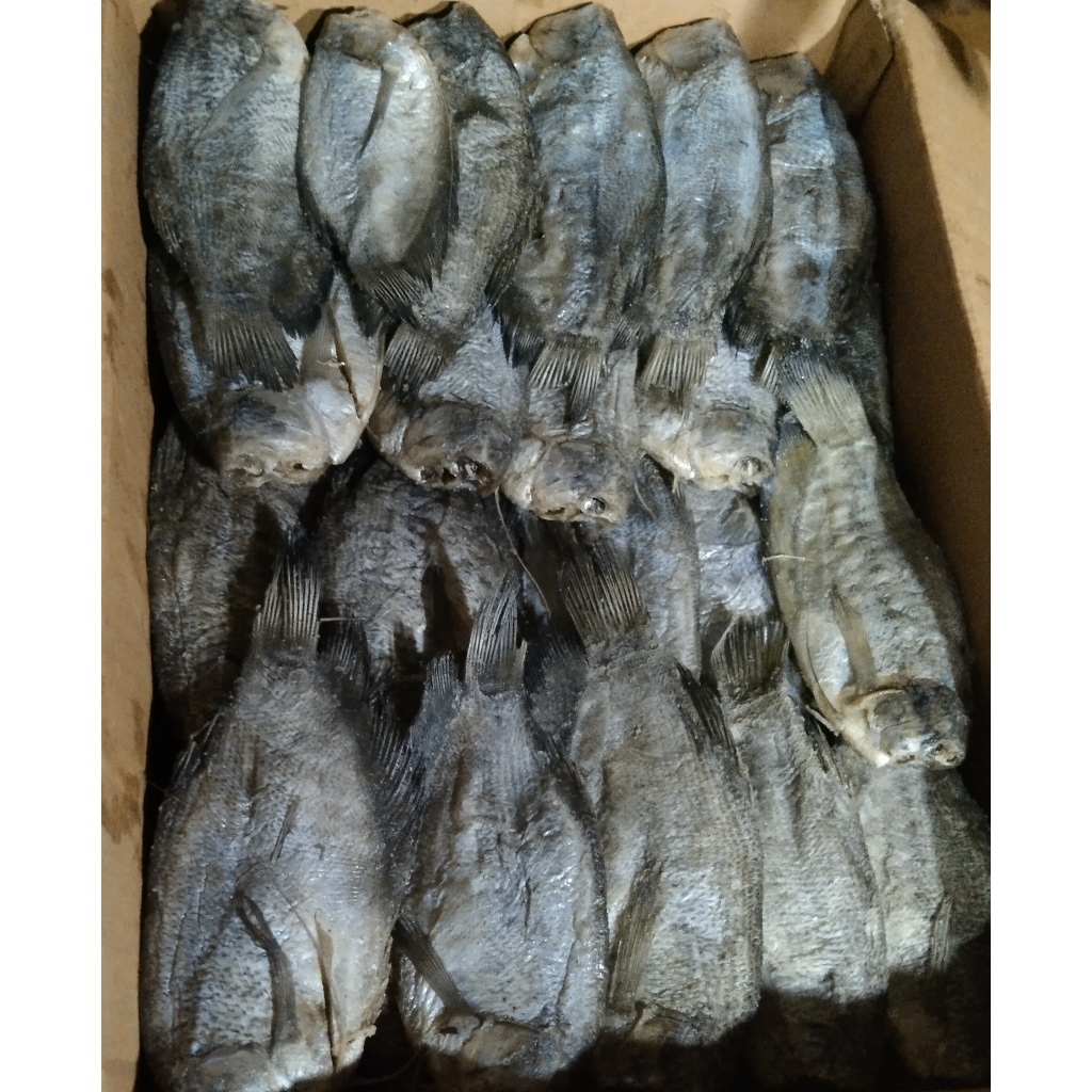 

500 Gram Ikan Asin Sepat/ Ikan Asin Murah/ Ikan Asin Enak/ Ikan Asin Palembang/ Ikan Asin Air Tawar