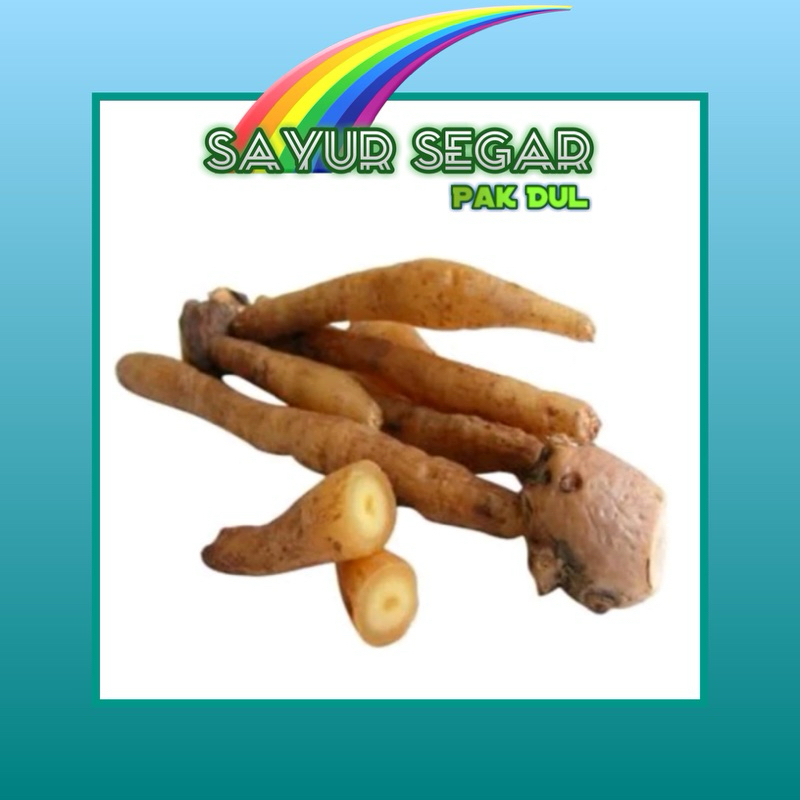

Rempah Kunci +- 100gr