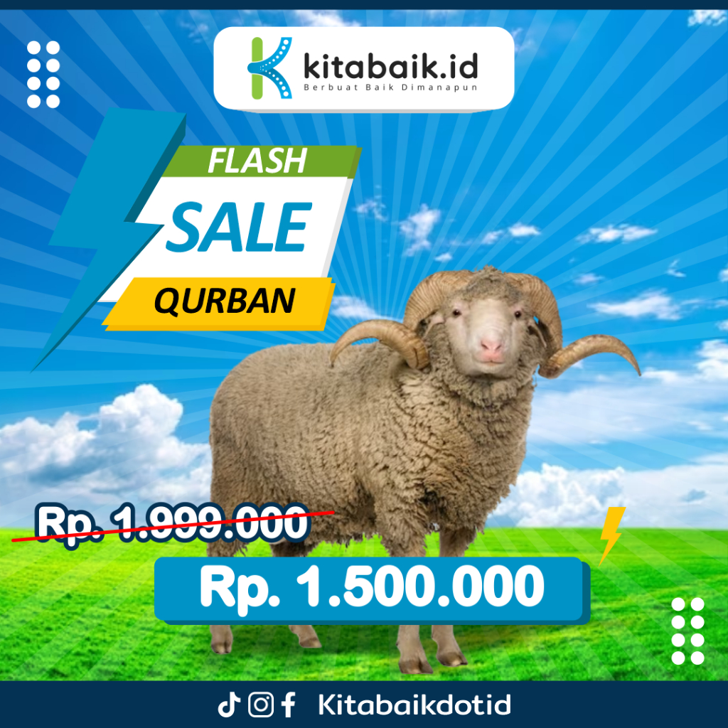 

PROMO QURBAN HARI TASYRIK - DOMBA 18-25 KG - FULL PENYALURAN