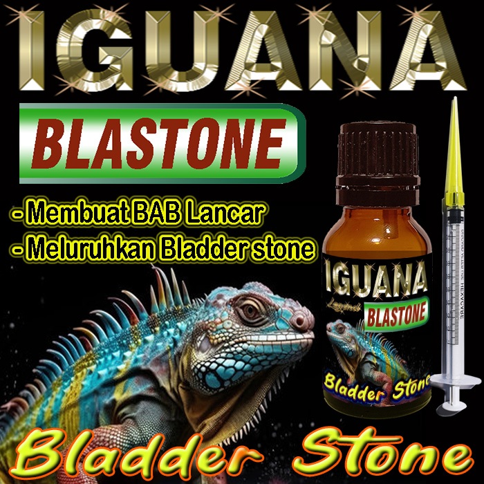 IGUANA BLASTONE CAIR OBAT MELURUHKAN URATES REPTILE  BLADER STONE BS IGUANNA BATU HIJAU BLUE DIAMOND