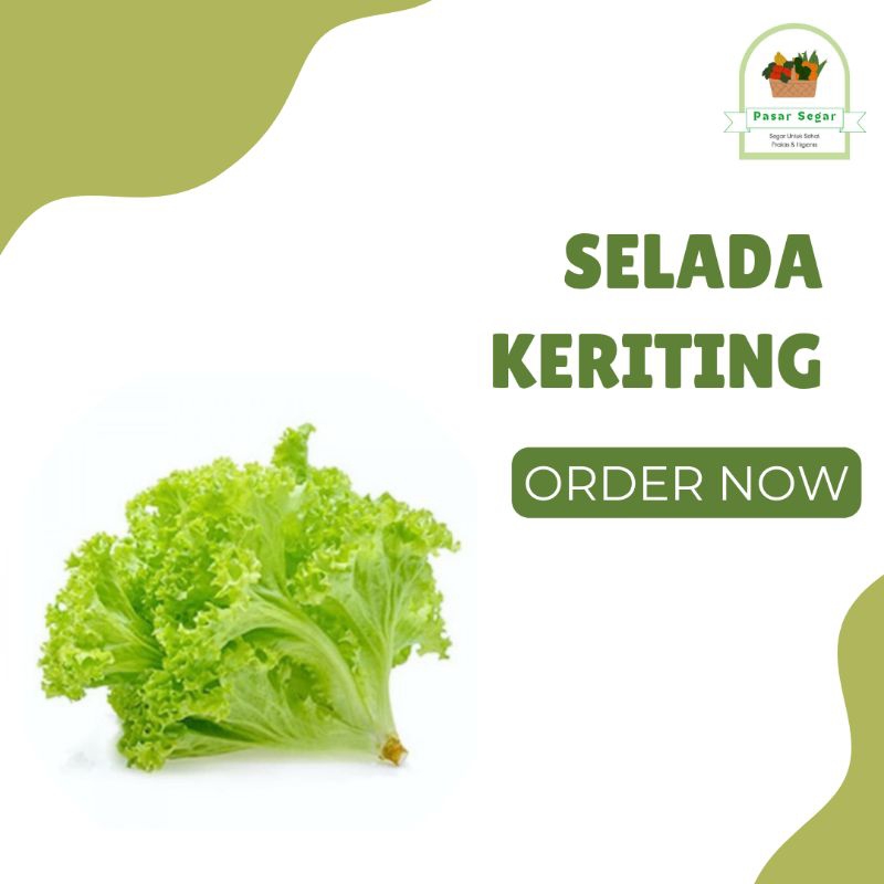 

Sayur Selada Keriting 250gr