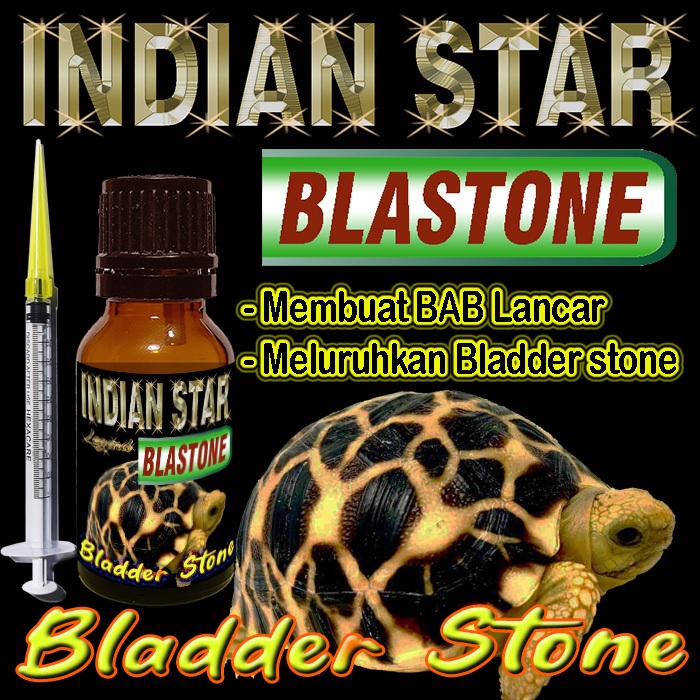INDIAN STAR BLASTONE CAIR OBAT MELURUHKAN URATES REPTILE BLADER STONE BS MENGOBATI PENYAKIT BATU KAN