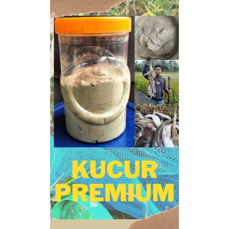 KUCUR PREMIUM ALFISYAH KUCUR UMPAN IKAN BAUNG