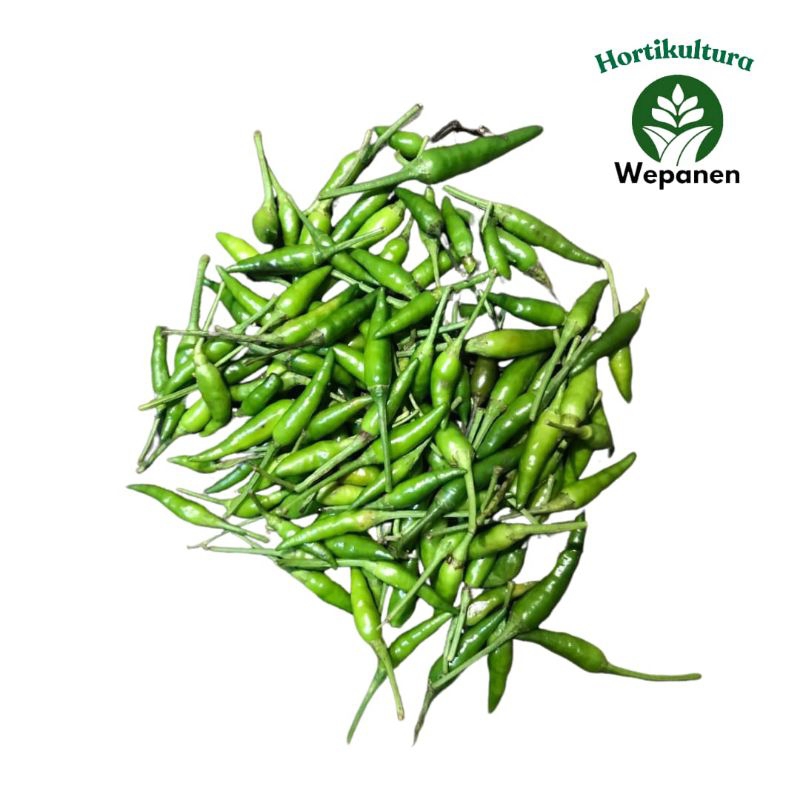 

Kirim Instant Cabai Rawit Hijau Japlak 1kg